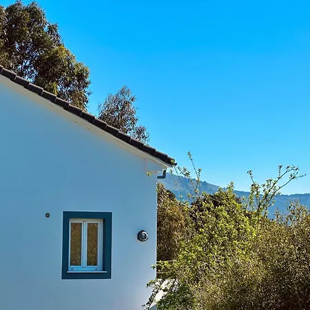 El Delirio De Luna - 32800