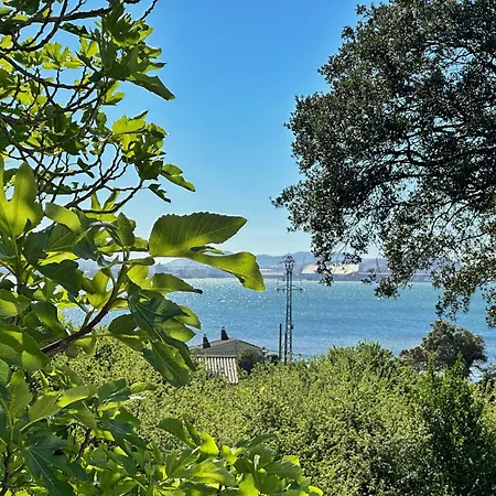 El Delirio De Luna - 32800 * Педренья