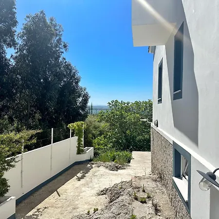 El Delirio De Luna - 32800