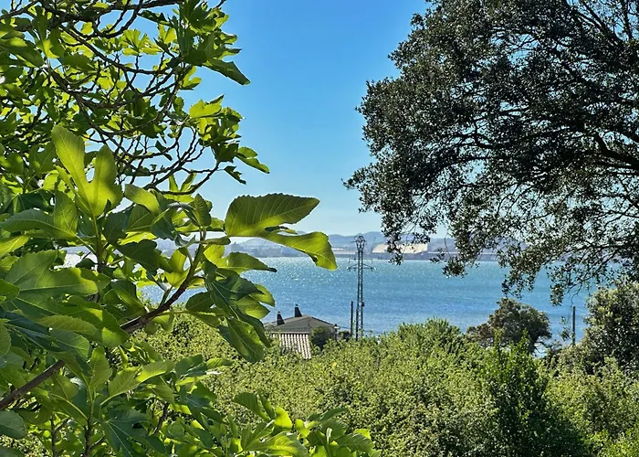 El Delirio De Luna - 32800 * Педренья